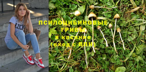 mdpv Куйбышев