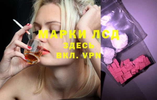PSILOCYBIN Кукмор