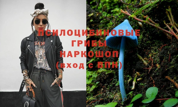дурь Кодинск