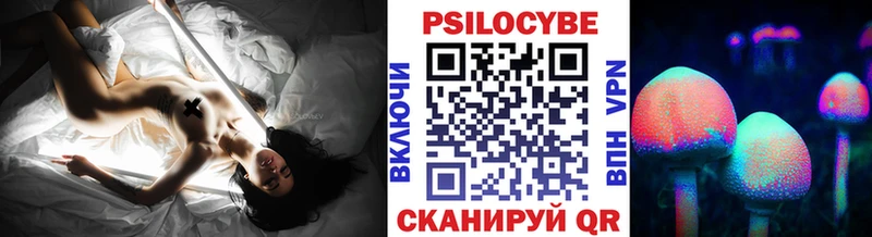 Купить где  Вилючинск  Псилоцибиновые грибы Magic Shrooms 